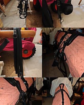 Finimenti per cavalli