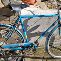 bicicletta  bottecchi