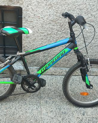Bicicletta
