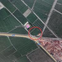 Terreno agricolo coltivato a vigneto