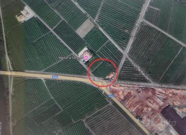 Terreno agricolo coltivato a vigneto