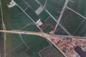 Terreno agricolo coltivato a vigneto