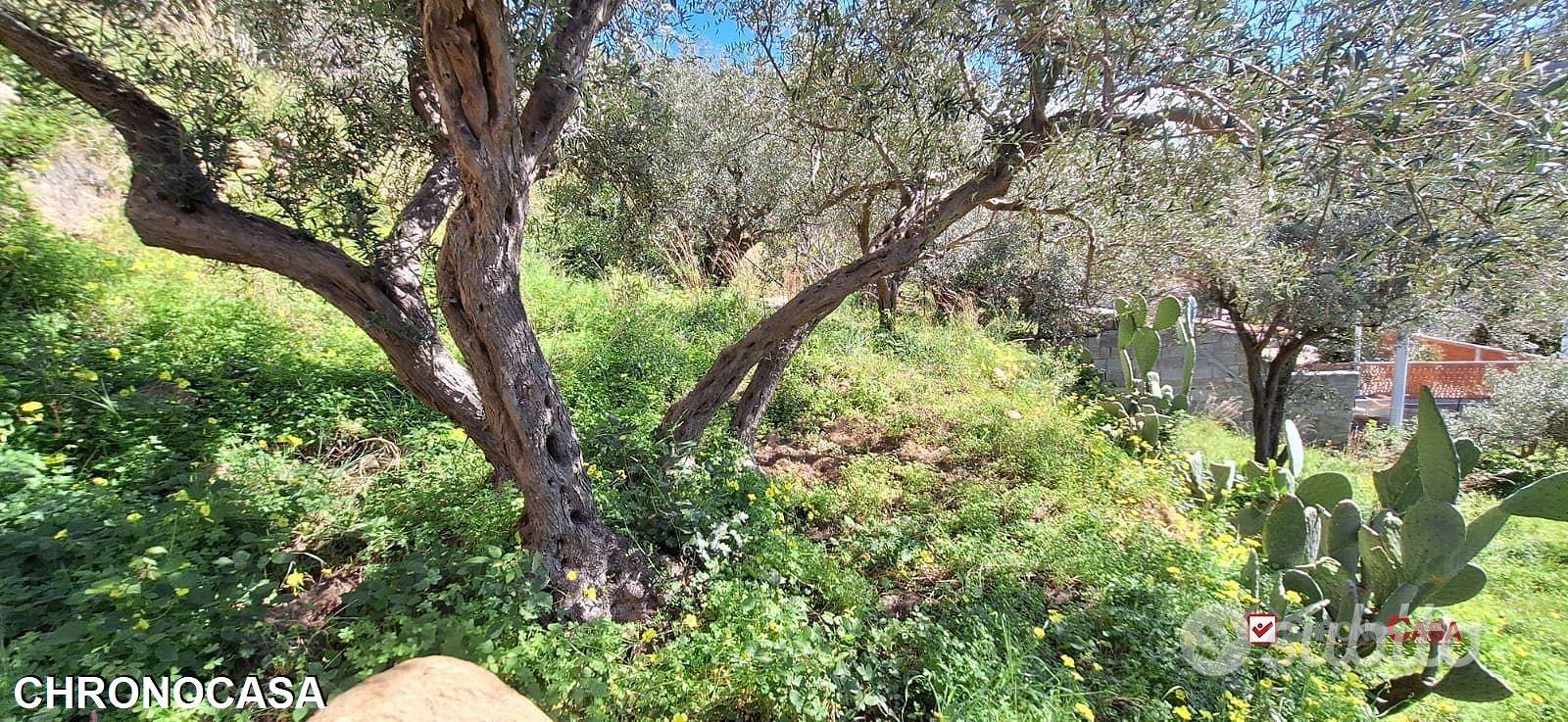 Rodia, terreno agricolo di circa 1000 mq - Altro