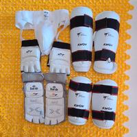 Protezioni arti marziali taekwondo M