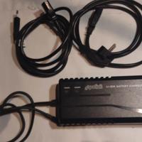 caricabatterie per bici elettrica pollini