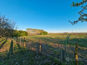 Terreno agricolo 1600mq Chieri