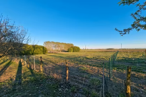 Terreno agricolo 1600mq Chieri