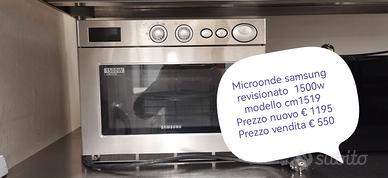 Microonde professionale