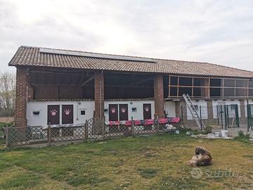 Struttura Allevamento cani e abitazione