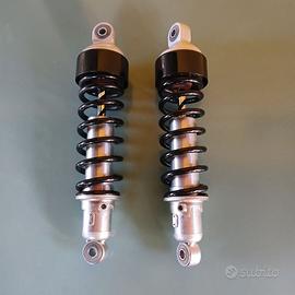 sospensioni posteriori