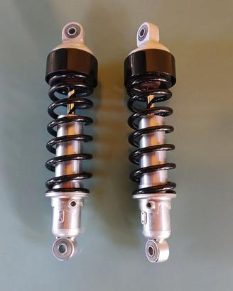 sospensioni posteriori