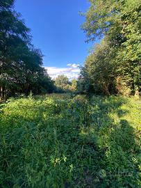 Terreno pianeggiante