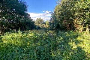 Terreno pianeggiante