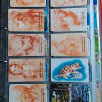 Schede telefoniche rare da collezione 