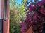 Immagine 10
