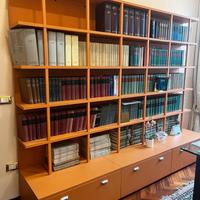 Grande libreria deale per studio - ufficio