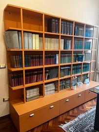 Grande libreria deale per studio - ufficio