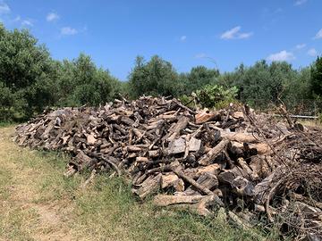 Legna di ulivo