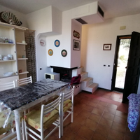 Fiordo Fiona Green House Albarella