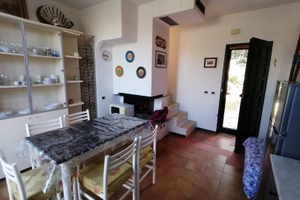 Fiordo Fiona Green House Albarella