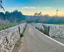 Terreno agricolo a Putignano