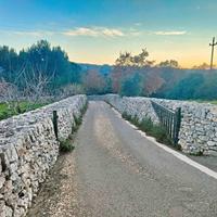 Terreno agricolo a Putignano
