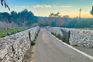 Terreno agricolo a Putignano