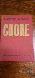 Libro CUORE edizione 1965