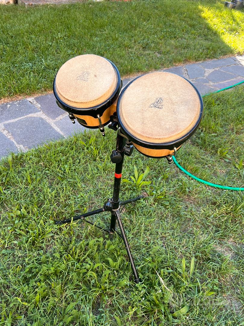 Bongos LP Aspire Natural + Asta - Strumenti Musicali In vendita a Bologna