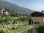 Immagine 27