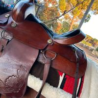 Sella western monta americana