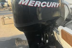 Motore optimax 115 iniezione diretta 2t