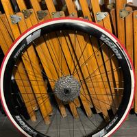 Ruota Elite per Rullo