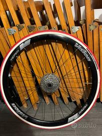 Ruota Elite per Rullo