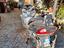 Immagine 3