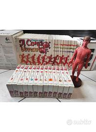 Esplorando il Corpo Umano (DeAgostini) (1993)