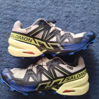 Salomon speedcross 6 gtx