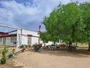 masseria-con-abitazione-capannoni-e-terreni