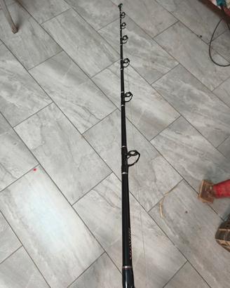 Daiwa sealine-z traina tonni canna