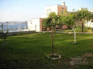 Villino sul porto di marina grande a Procida