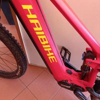 E- Bike - Bicicletta elettrica