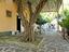 Immagine 14