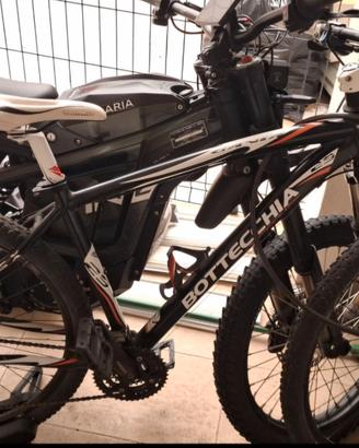 Mountain bike bottecchia gavia 29