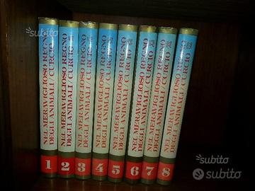 Nel meraviglioso regno degli animali curcio