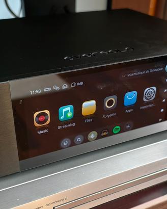 eversolo DMP a6 