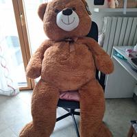 orso gigante max & sas