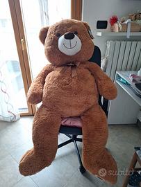 orso gigante max & sas