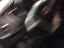 Immagine 10