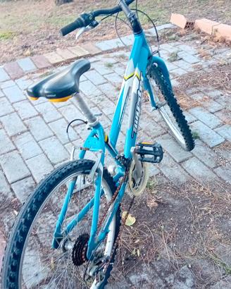 mtb nasuti