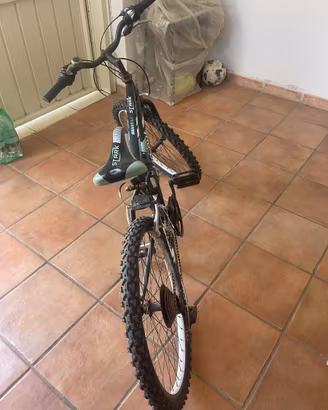 Bicicletta